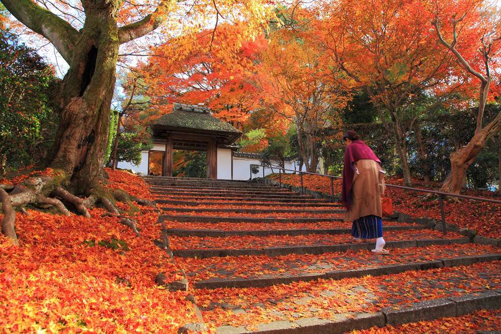 Kyoto Royal Hotel & Spa Dış mekan fotoğraf
