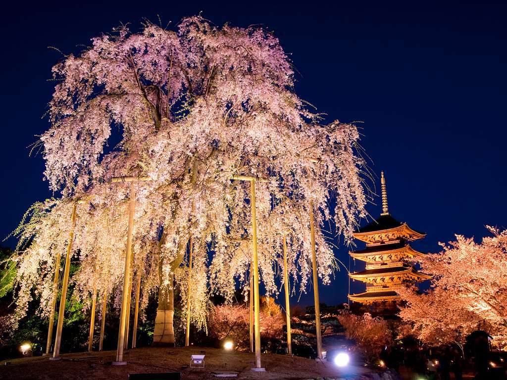 Kyoto Royal Hotel & Spa Dış mekan fotoğraf